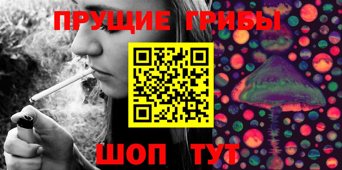Северск  Псилоцибиновые грибы Psilocybe  продажа наркотиков  Вход с VPN 